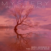 Mystery (Instrumentals) artwork