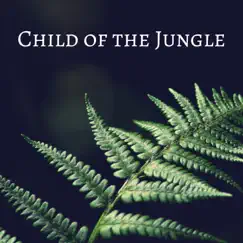 Child of the Jungle - Single by Ruud Janssen album reviews, ratings, credits