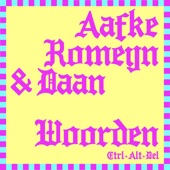 Woorden (CTRL+ALT+DEL) artwork