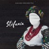 Stefania (Kalush Orchestra) by KALUSH iTunes Track 2
