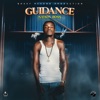 Guidance - Single