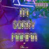 I'm Sorry Mamma - Single album lyrics, reviews, download