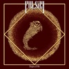 Pulsar - Embryonaut