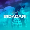 Bidadari - Single