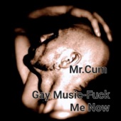 Gay Music - Fuck Me Now artwork
