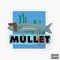 Mullet - BIG POPPA PILL lyrics