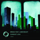 Gunshot Love - Break & Liam Bailey