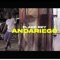 Andariego - Flako Rey lyrics