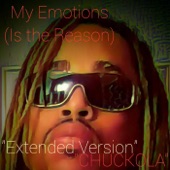 My Emotions Is the Reason ( Extended Version) artwork