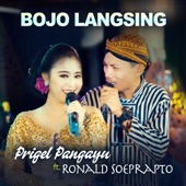 Bojo Langsing (feat. Ronald Soeprapto) artwork