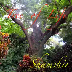 Tree of Life by Shamshir album reviews, ratings, credits