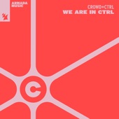We Are in Ctrl (Extended Mix) artwork