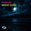 Moonlight Shadows - Single