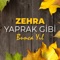 Yaprak Gibi: Bunca Yıl artwork