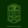 Celtic Harp Music: Traditional Irish Roots, Instrumental Relaxation with Celtic Sound (St. Patrick's Day) album lyrics, reviews, download