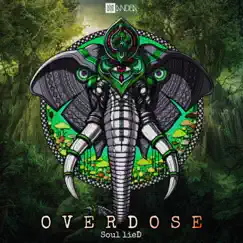 Overdose - Single by Soul LieD album reviews, ratings, credits