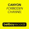 Stream & download Forbidden Channel - Single