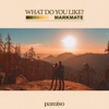 What Do You Like? - Single