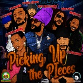 Irie Sounds Band - Picking Up the Pieces Riddim