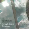 Fly High Brave Dreamers album lyrics, reviews, download