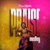 Praise Medley (Live) - Single