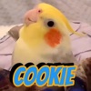 Cookie, Cookie - Single