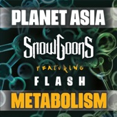 Metabolism (feat. Flash) artwork