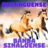 Duranguense, Banda Sinaloense