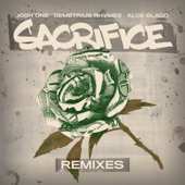 Sacrifice (feat. Demetrius Rhymes) [Terry Hunter Club Mix] artwork