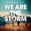 We Are the Storm - Single