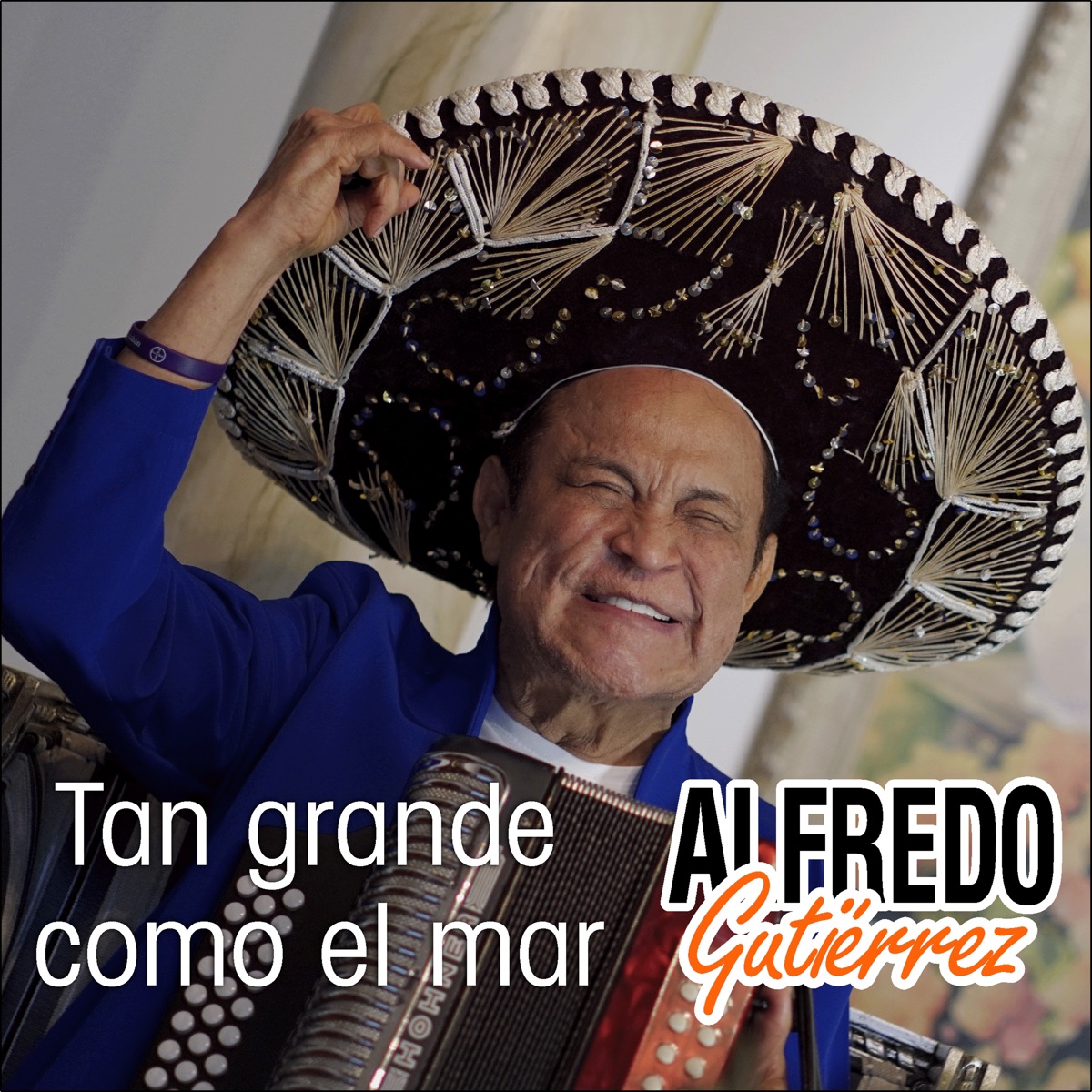 Mi Acordeón Bohemio by Alfredo Gutierrez on Apple Music