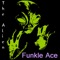 The Alien - Funkle Ace lyrics