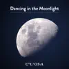 Dancing in the Moonlight (Lofi) song lyrics