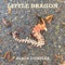 Little Dragon - Elson Complex lyrics