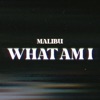 What Am I - Single