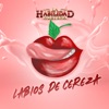 Labios De Cereza - Single