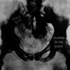 Trapped In the Dark - Single