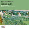 Brahms: String Sextets Nos. 1 & 2 album lyrics, reviews, download