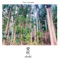 Abuki - 1rec.record lyrics