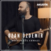 Dostun gül cemali (Akustik) artwork