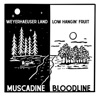 Weyerhaeuser Land / Low Hangin' Fruit - Single