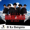 A la Antigüita - Single