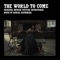 The World to Come (feat. Josephine Foster) - Daniel Blumberg lyrics