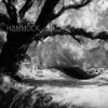 Hammock - Single