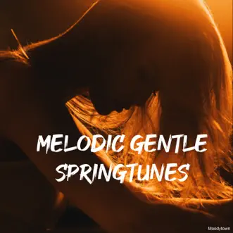 Melodic Gentle Springtunes by Various Artists album reviews, ratings, credits