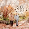 Es el Amor - Single