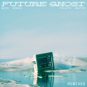 Future Ghost (VIP Mix) artwork