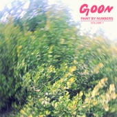 Goon - Paint by Numbers