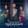 Qataghani (Remix) - Single
