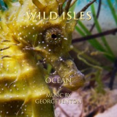 Wild Isles: Ocean (Music from the Original TV Series) artwork